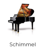 schimmel