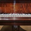 1997 Steinway Limited Edition Tiffany Model B - Image 7
