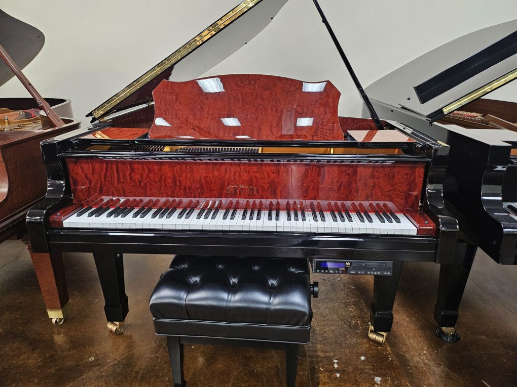 2006 Estonia Piano Hidden Beauty Player