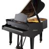 Bluthner Classic Model 11 Piano - Image 2