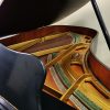 1971 Schimmel 7' Piano - Image 2