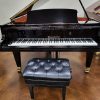1984 Bosendorfer 225 Piano