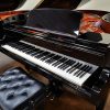 1984 Bosendorfer 225 Piano - Image 2