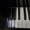 1984 Bosendorfer 225 Piano - Image 3