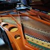 1984 Bosendorfer 225 Piano - Image 5
