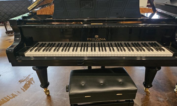 2018 Perzina Player Piano